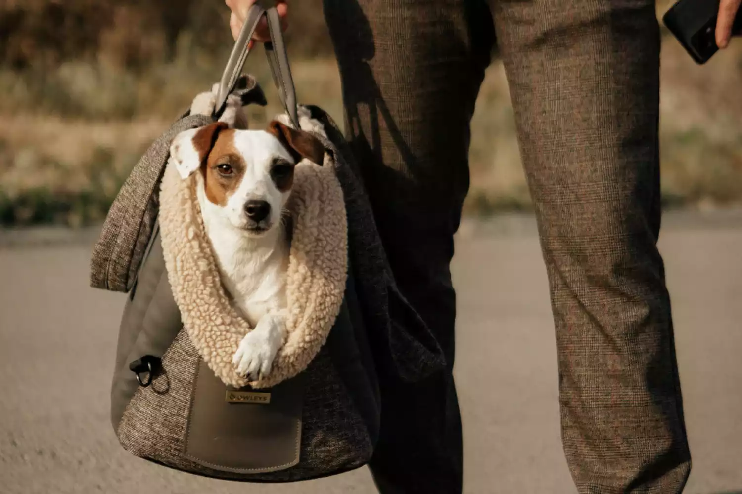 Dog Carrier Purse for Toy Bulldog