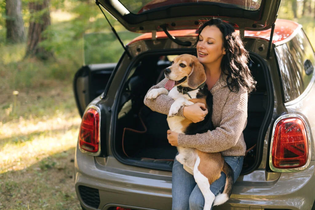 dog back seat cover for Jeep Renegade