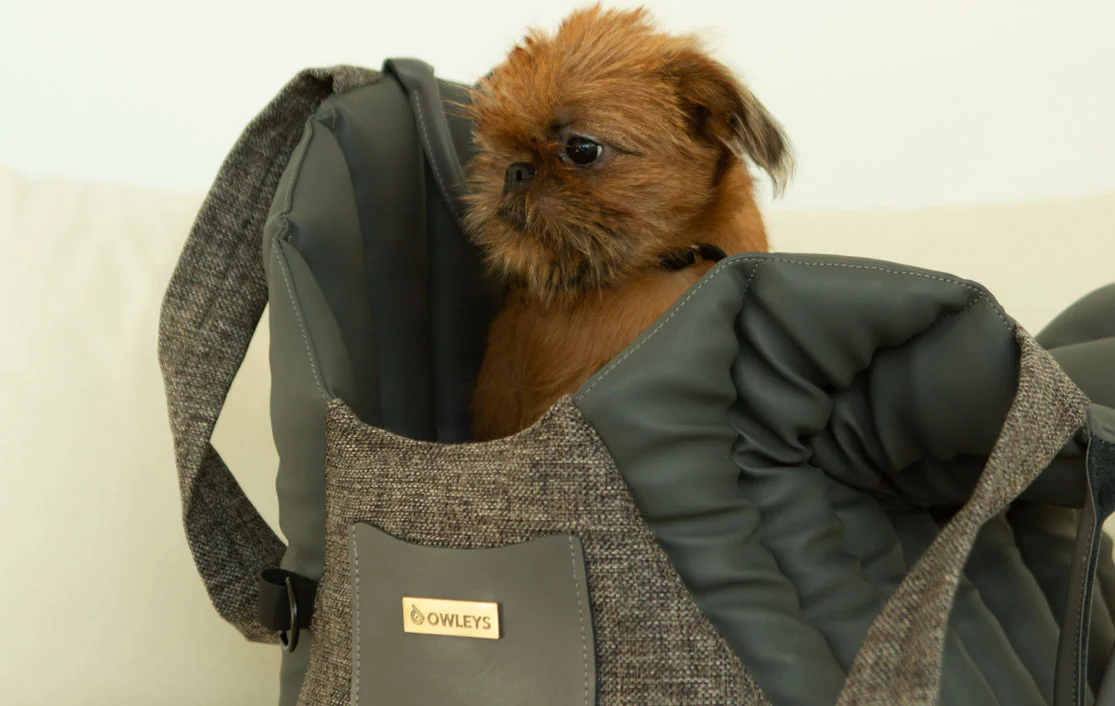 Shih Tzu Dog Carrier Car Seat for Nissan Sentra