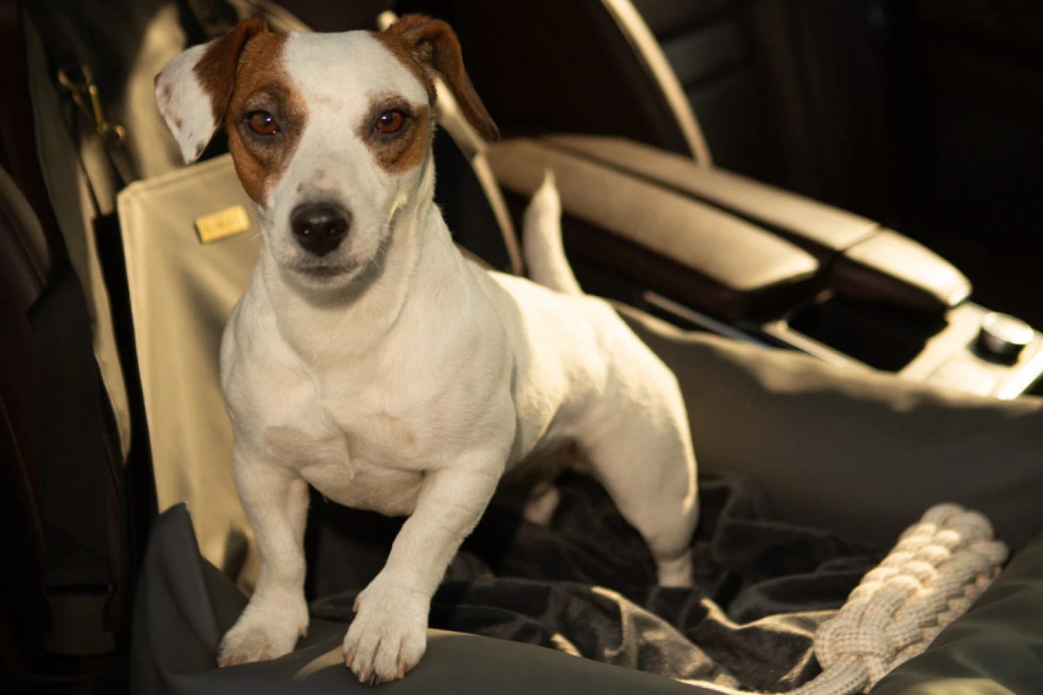 Honda HR-V Dog Car Seat for Australian Terriers