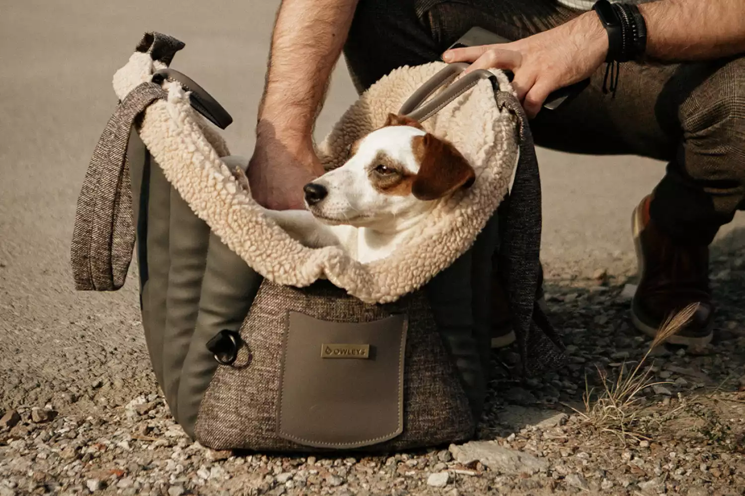 Dog Carrier Purse for Russell Terrier