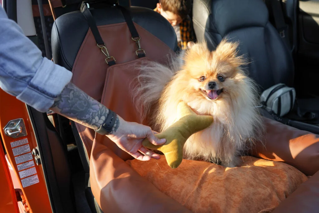 Tesla Model 3 Dog Car Seat for West Highland White Terriers