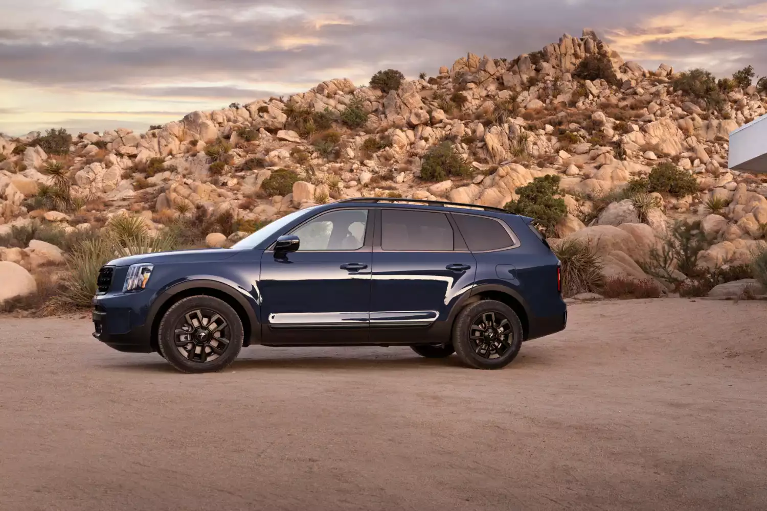 Kia Telluride trunk organizer