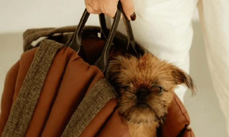 Dog Carrier Purse for Australian Terrier