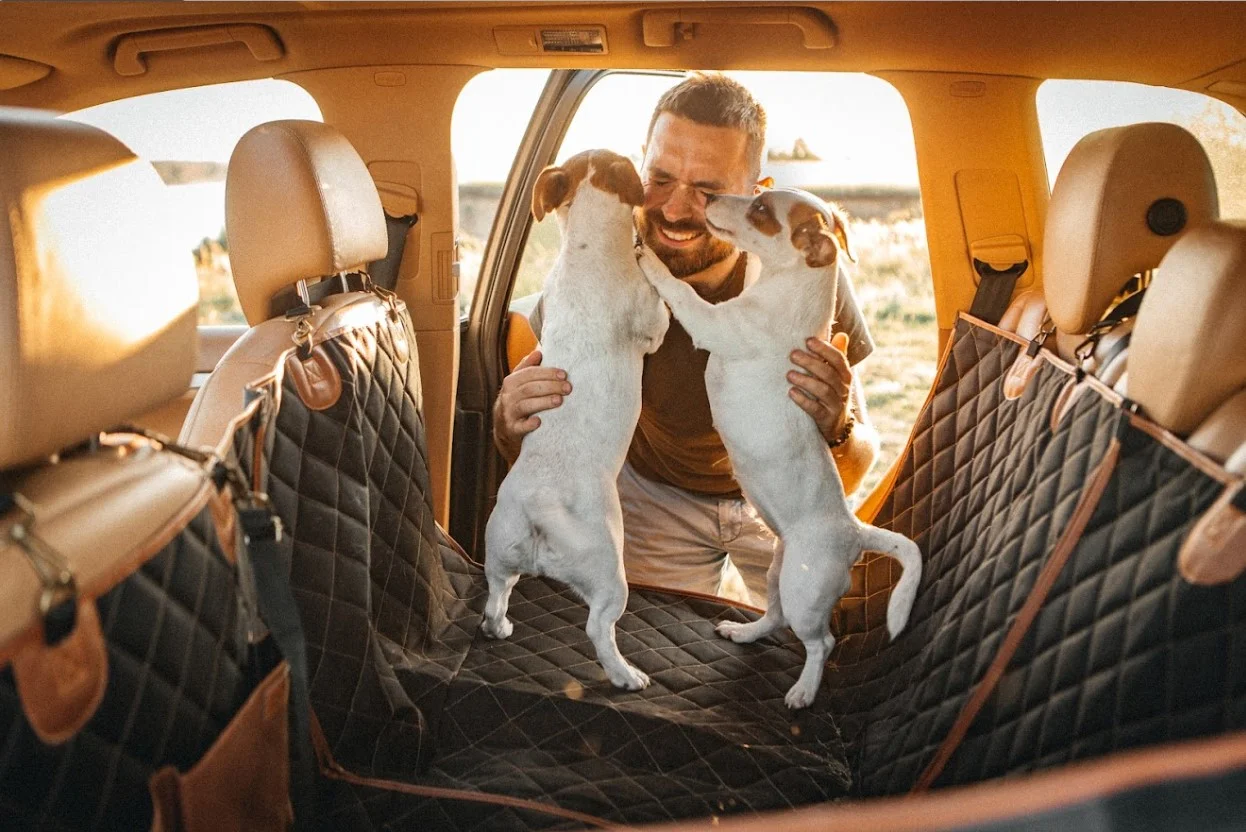 dog back seat cover for Jeep Renegade