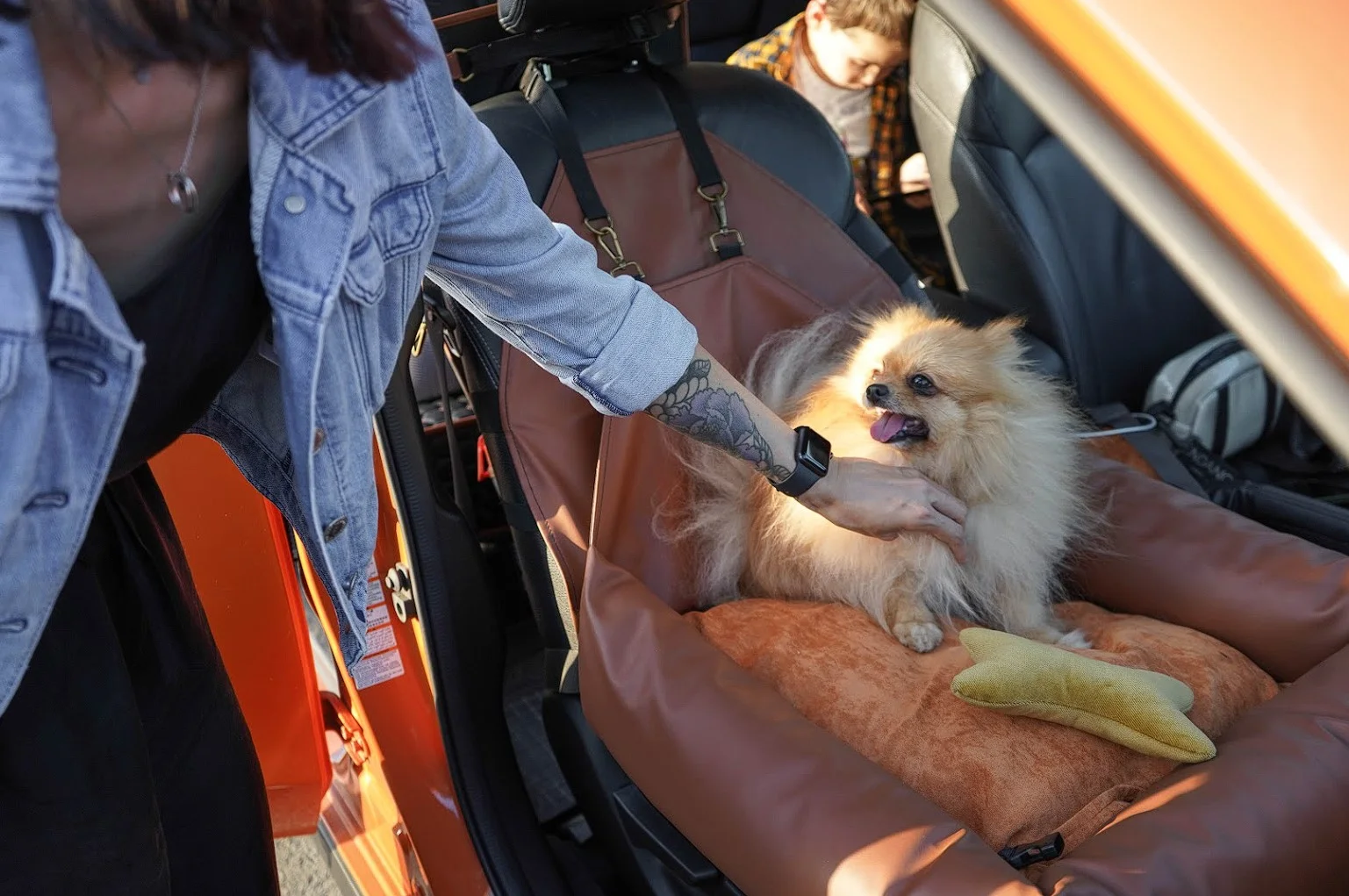 Basenjis Dog Car Seat for Toyota Prius